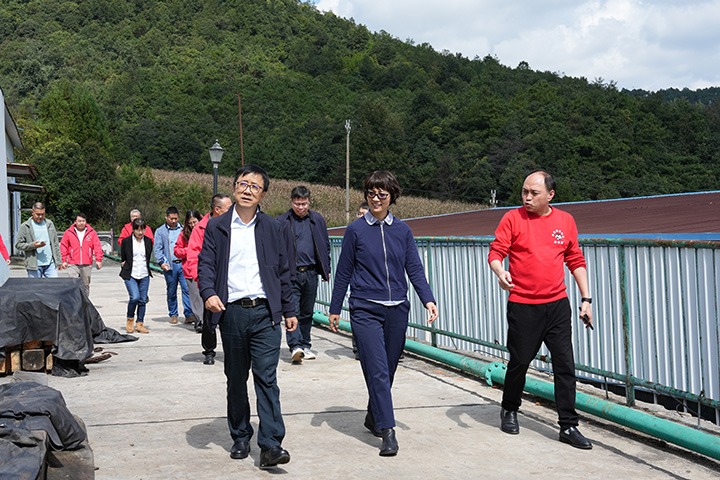 云南省国资委党委委员、副主任夏丽坤一行到兴发娱乐·(中国游)最新官方网站集团所属恩洪煤业公司开展现场督导调研